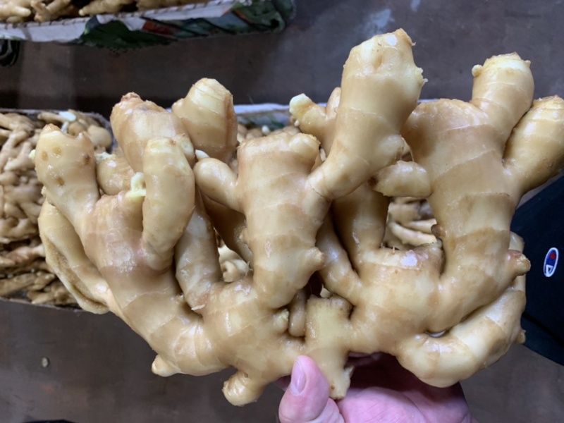 唐山顺盈姜业主营：土姜，水洗姜，干姜！产地直供