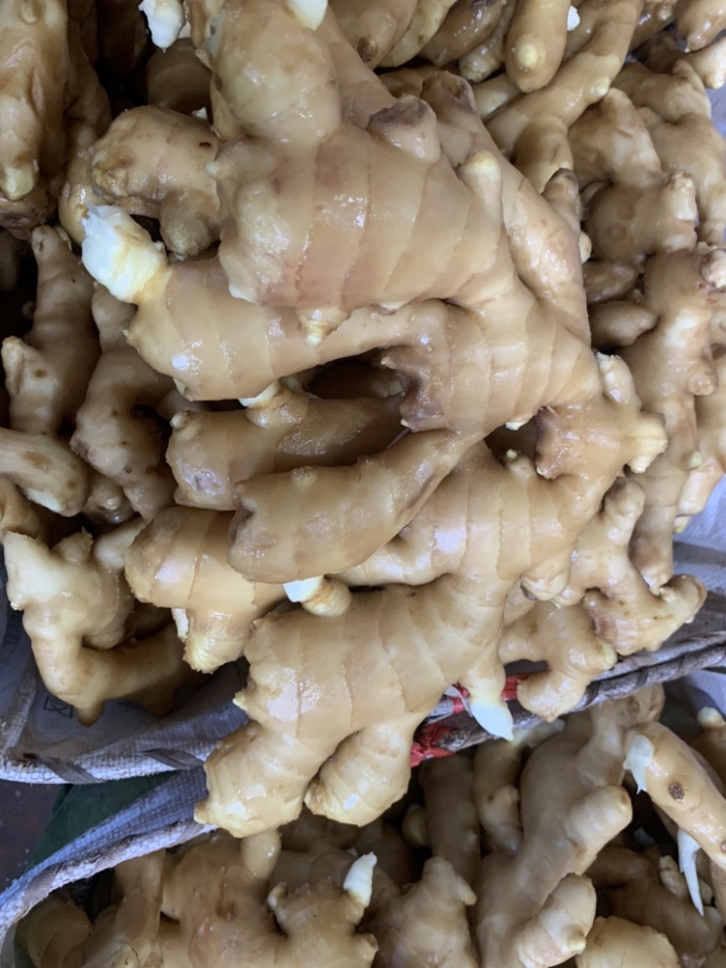 唐山顺盈姜业主营：土姜，水洗姜，干姜！产地直供