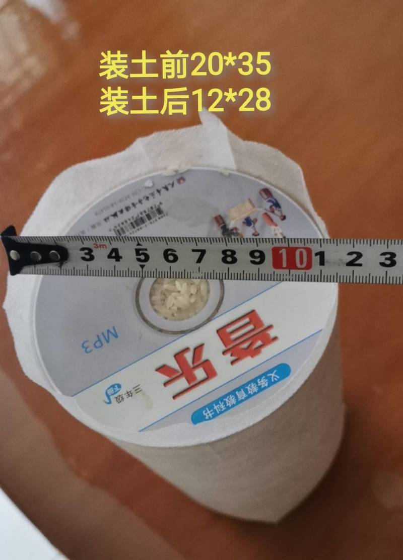 无纺布育苗袋加厚抗老化种植袋坚果柑橘脐橙无纺布种植袋