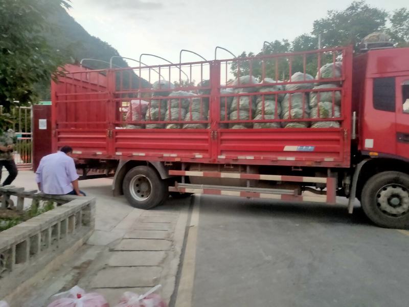 甘肃线椒鲜辣椒甘肃种植基地物鲜辣椒质美价廉保质保量