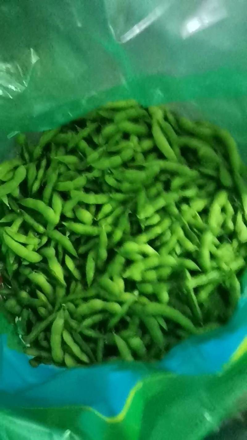 翠绿宝毛豆-基地直供-保证质量-货源充足