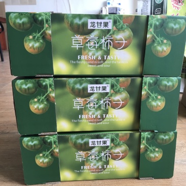 碱地柿子草莓西红柿铁皮柿子水果柿子精品礼盒诚招各市区代