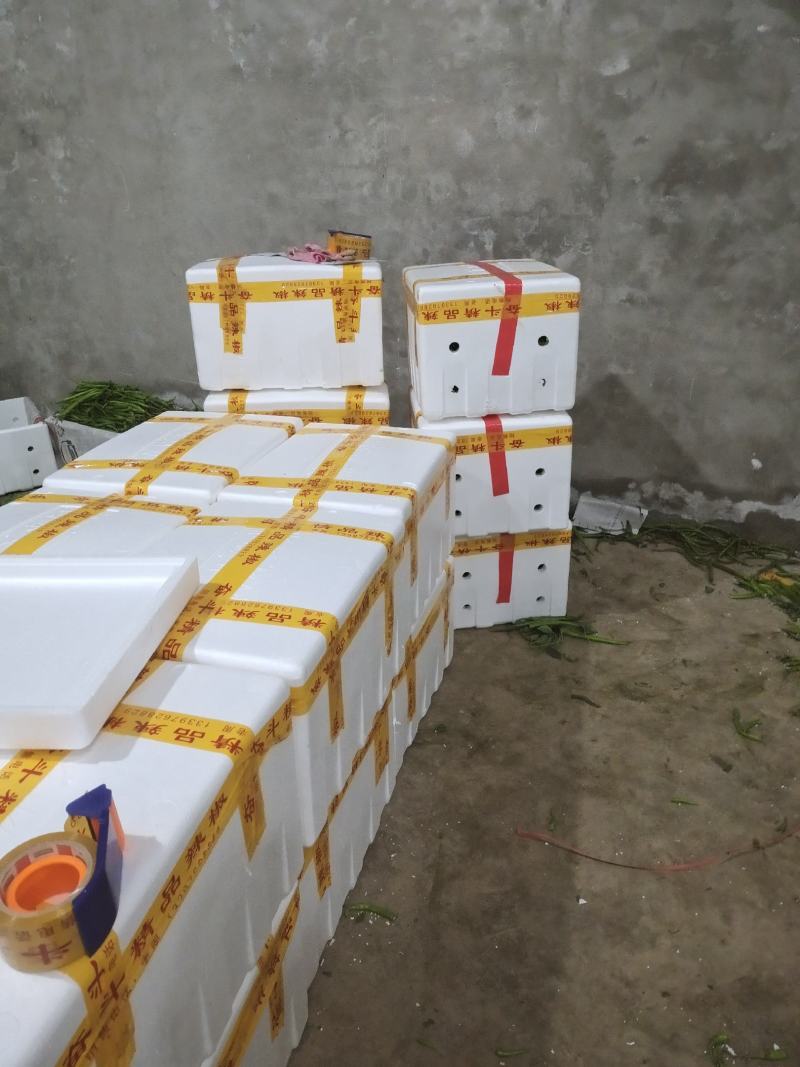 大量供应陕西精品线椒基地直供品种齐全价格优惠