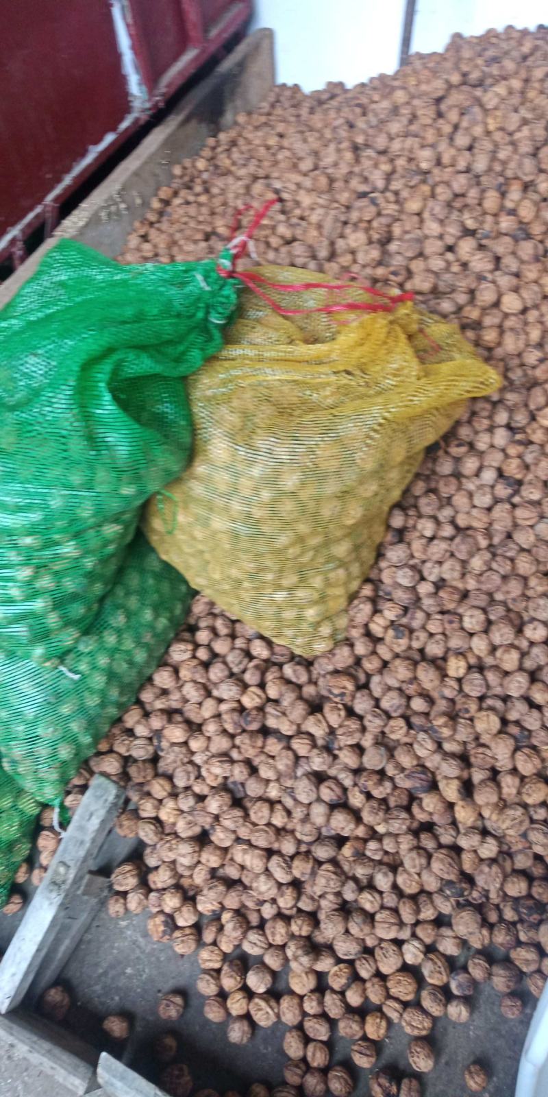 大凉山核桃香脆口感好干