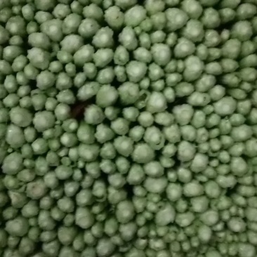 毛芹