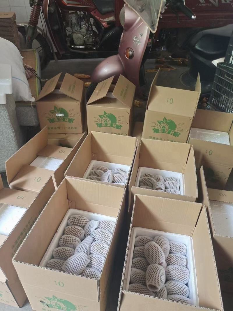 周至青山迷糊桃徐香猕猴桃专卖一件10斤，十斤包邮。