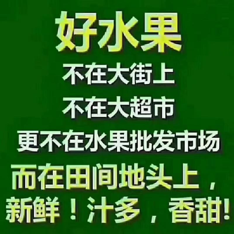 周至青山迷糊桃徐香猕猴桃专卖一件10斤，十斤包邮。