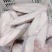 龙鳕鱼片，鳕鱼片价格便宜，深海鱼营养健康