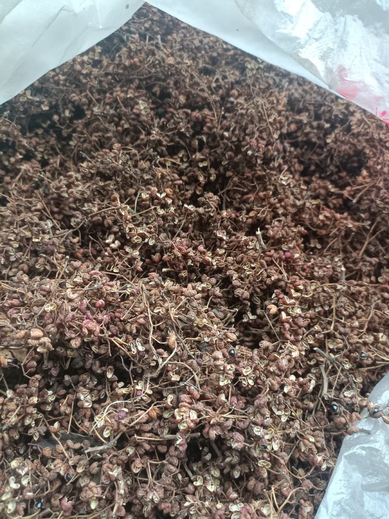 花椒野生山林种植无农药无化肥批发零售一手货源产地直发