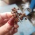 花椒野生山林种植无农药无化肥批发零售一手货源产地直发