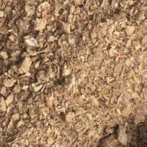 烘干金针菇渣