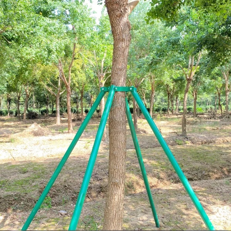 树木支撑架树木支撑杆固定放风支撑架树木支撑架子，