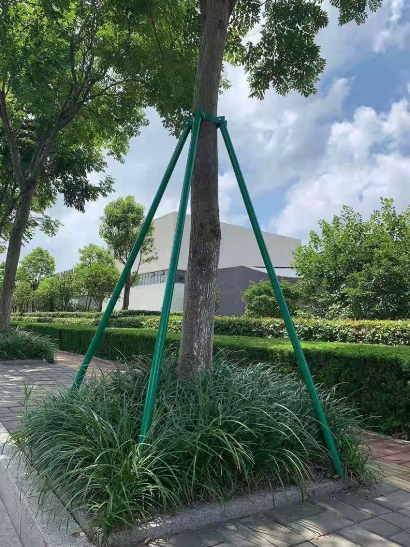 树木支撑架树木支撑杆固定放风支撑架树木支撑架子，