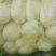 精品大中小娃娃菜