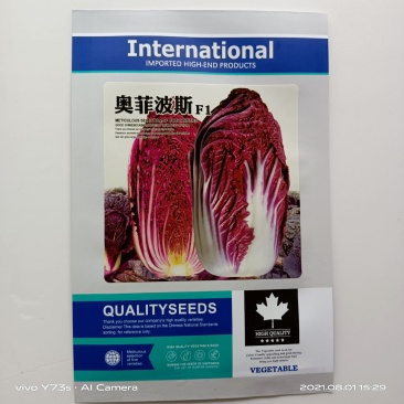 紫白菜种子原装营养白菜种子