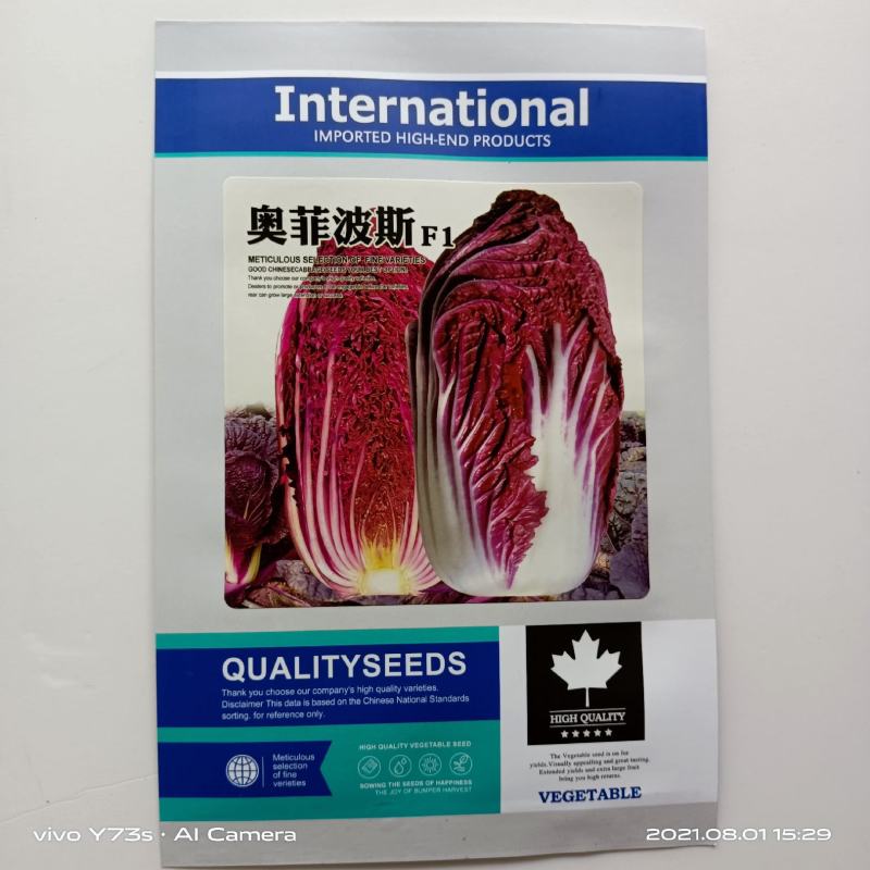 紫白菜种子原装营养白菜种子