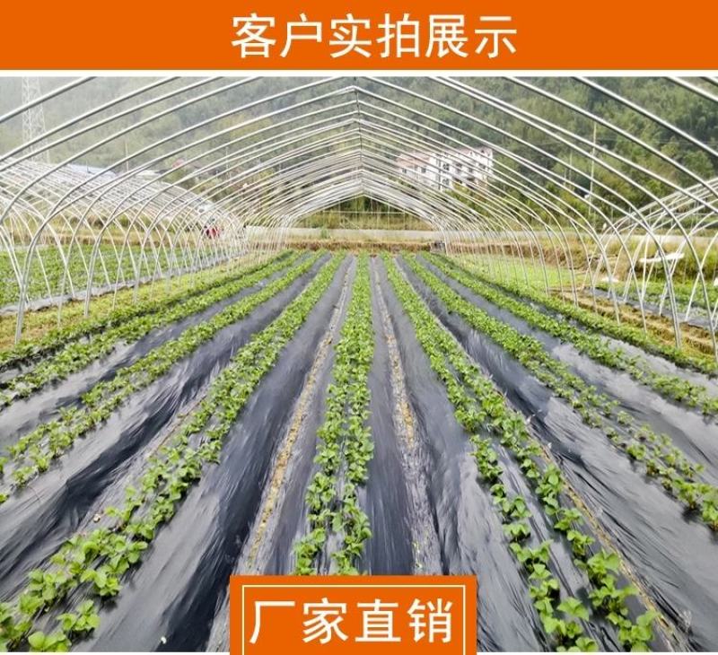 蔬菜大棚西瓜大棚热镀锌大棚管钢架蔬菜大棚钢架