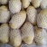 【推荐】土豆大量供应可视频看货保质保量