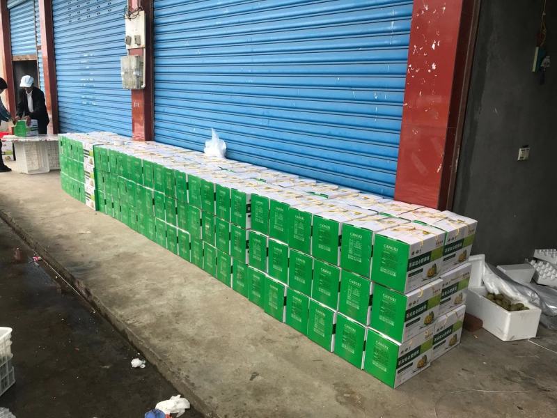 四川苍溪县红心猕猴桃奇异果70克起标准大果红阳猕猴桃