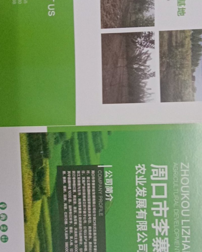 千亩苗木基地美人梅处理量大从优