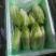 包罗马生菜