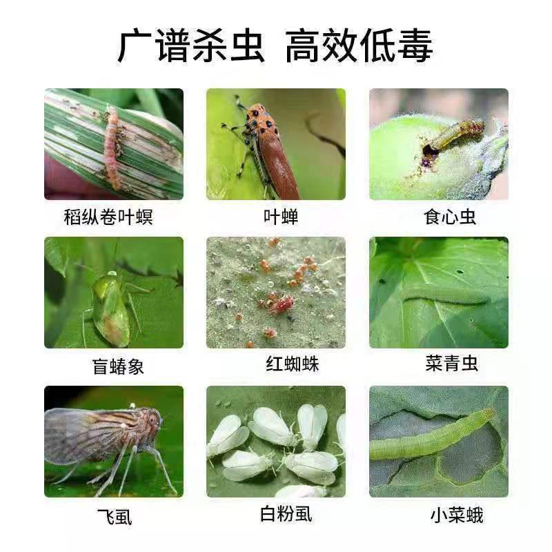 5%甲氨基阿维菌素苯甲酸盐杀虫剂蔬菜瓜果菜青虫水稻卷叶螟