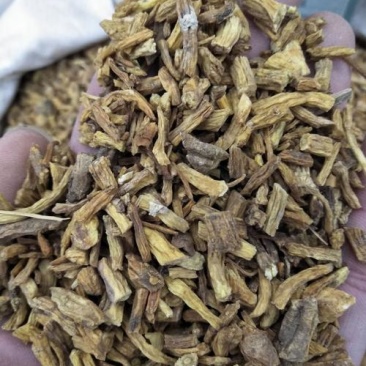 秦艽，云南产正品秦艽片质量保证现货供应，不满意包退！