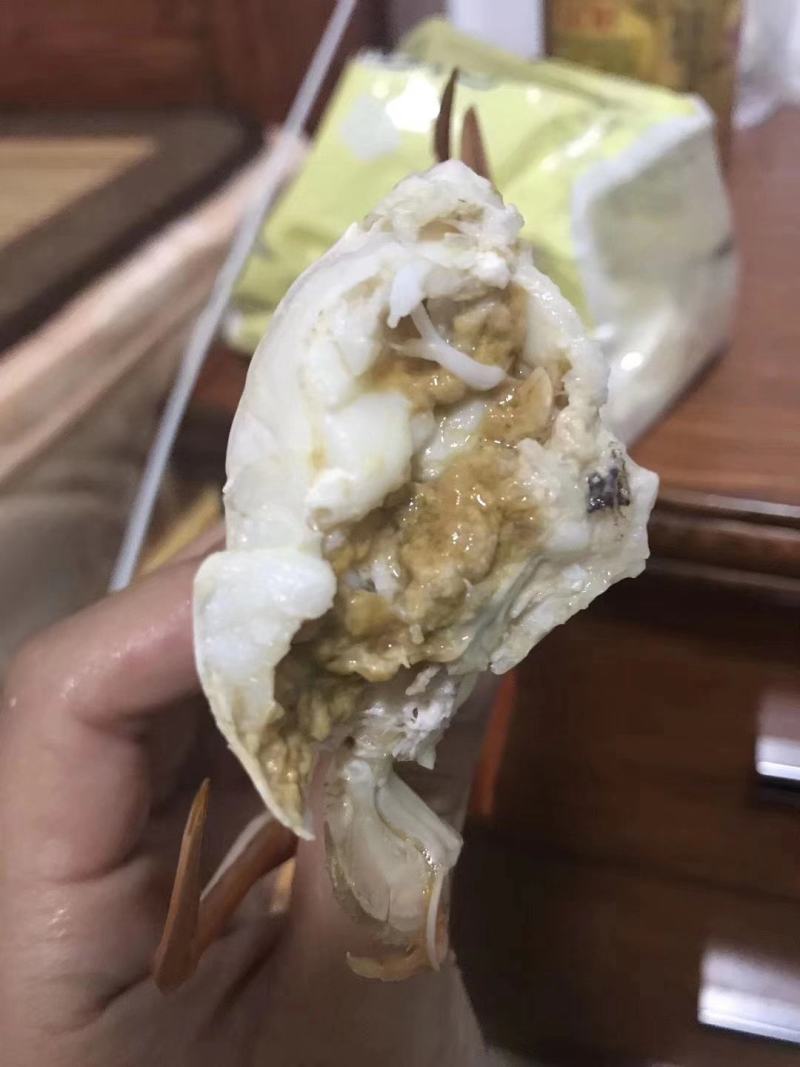 【福建漳州青蟹】当季的大公燕母蟹季节性好物推荐肉质鲜美