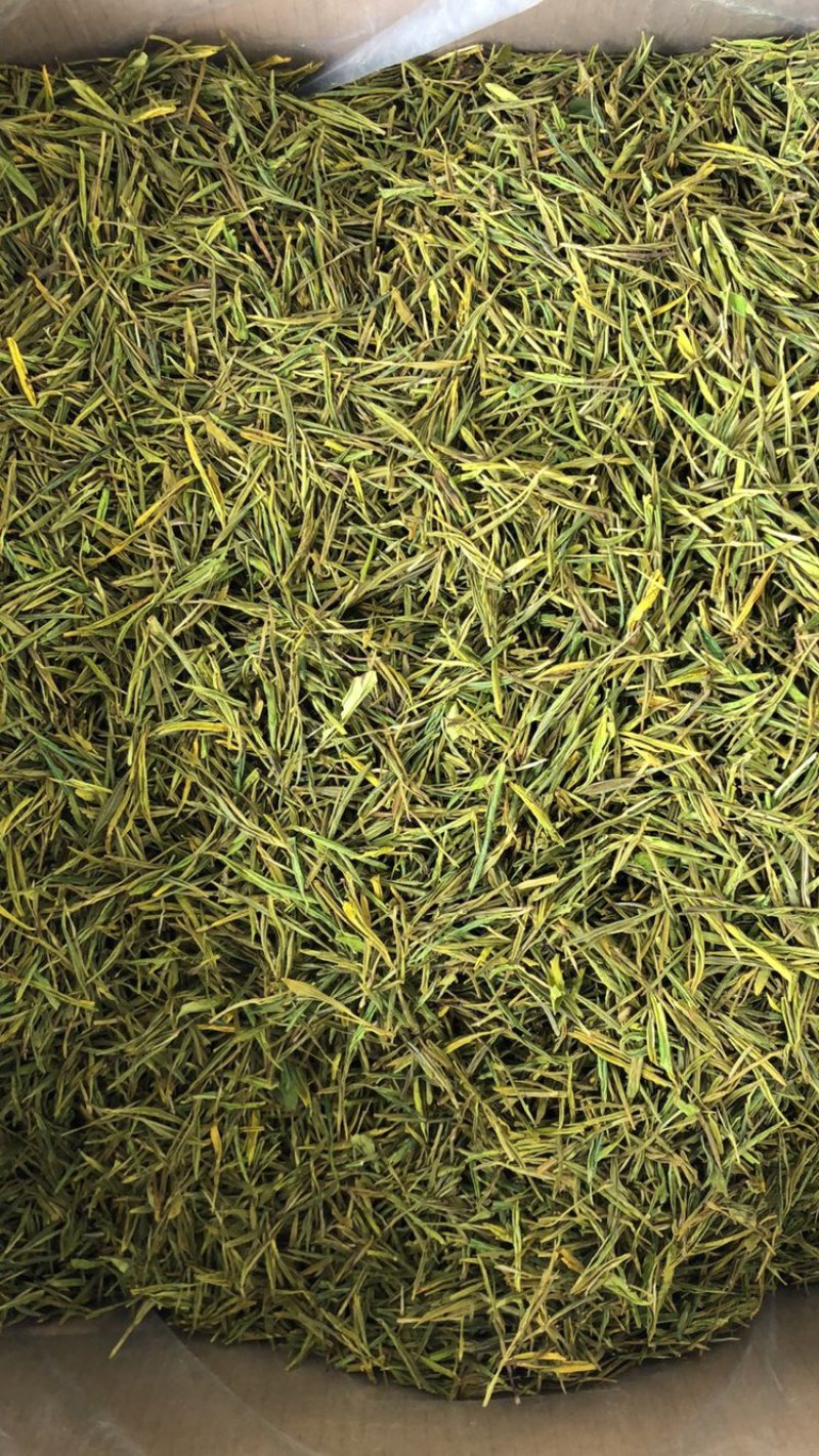 黄金叶茶茶叶绿茶黄金叶茶茶叶批发包邮