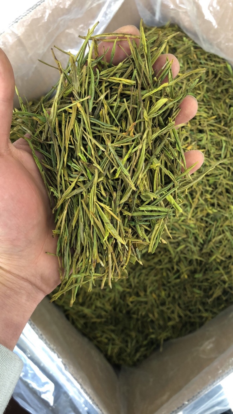 黄金叶茶茶叶绿茶黄金叶茶茶叶批发包邮