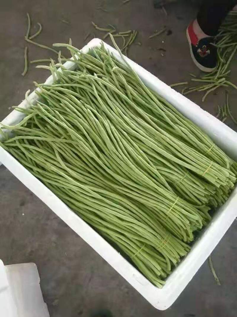 广西豆角靓货