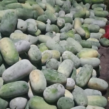 水果冬瓜