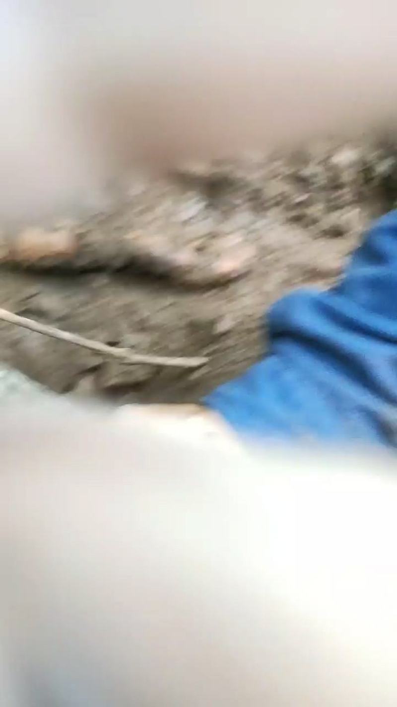 隔山消！深山采挖！纯野生！先下单！后采挖！保质保新鲜！