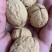 今年新货大优核桃