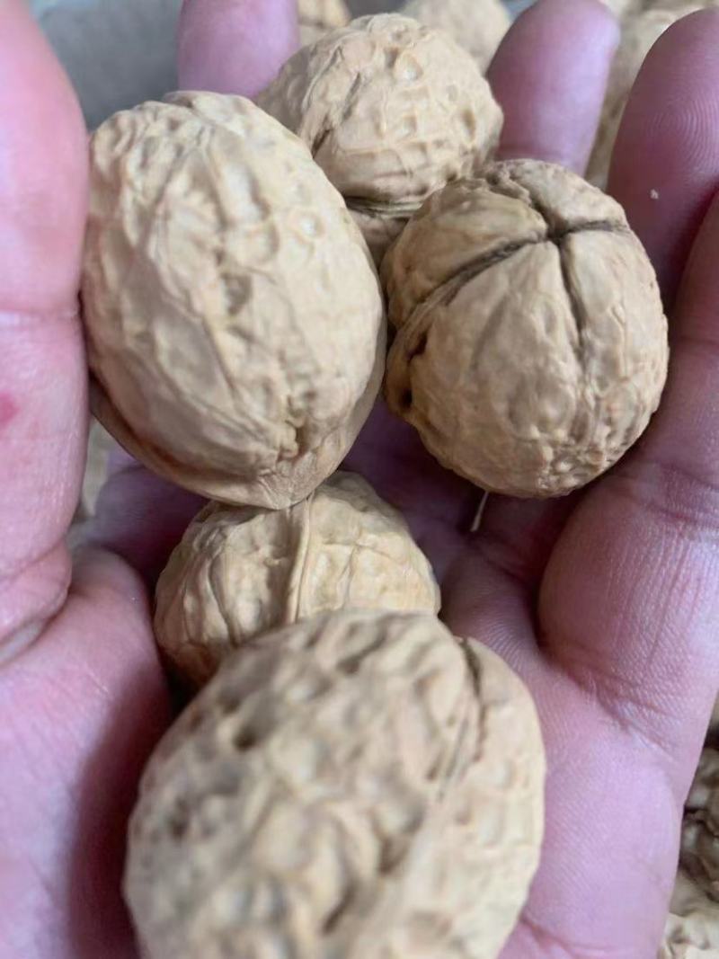 今年新货大优核桃