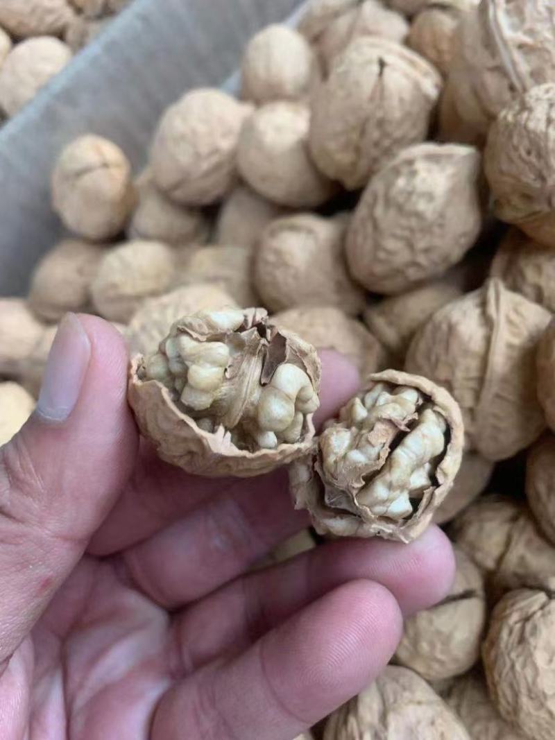 今年新货大优核桃
