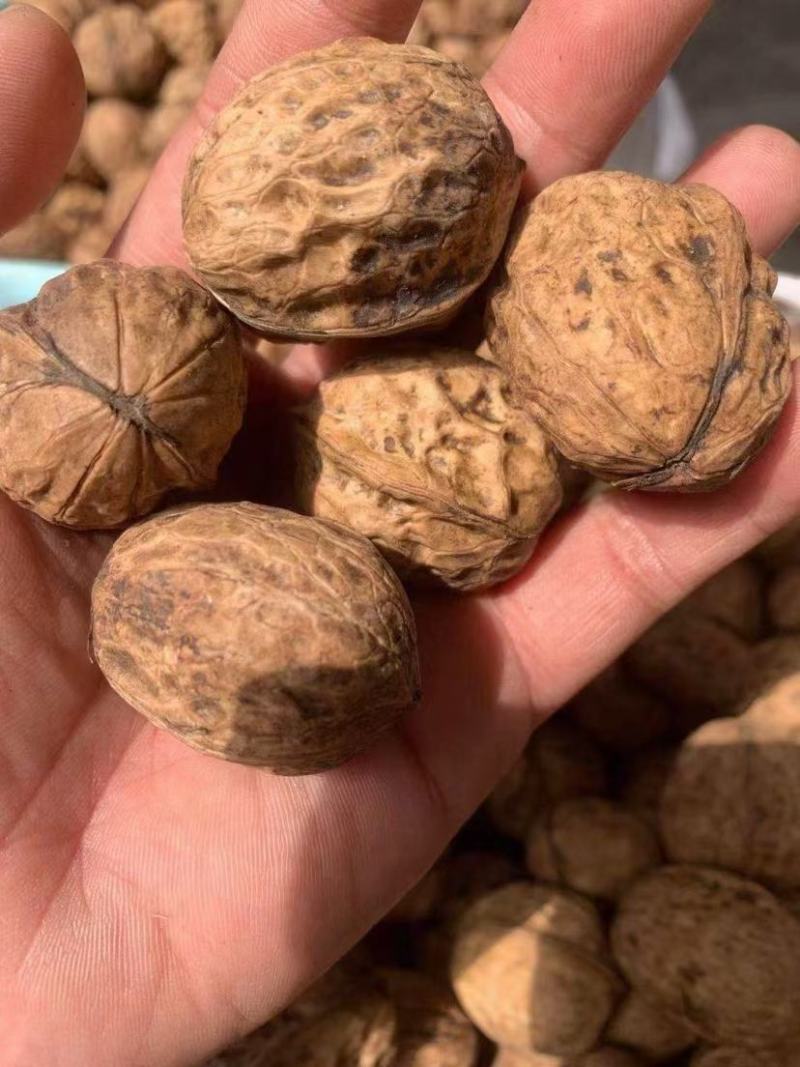 今年新货大优核桃