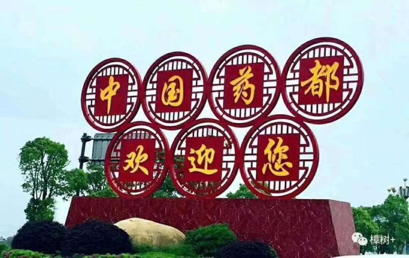 江西道地中药材粉防己种子，提技术指导！