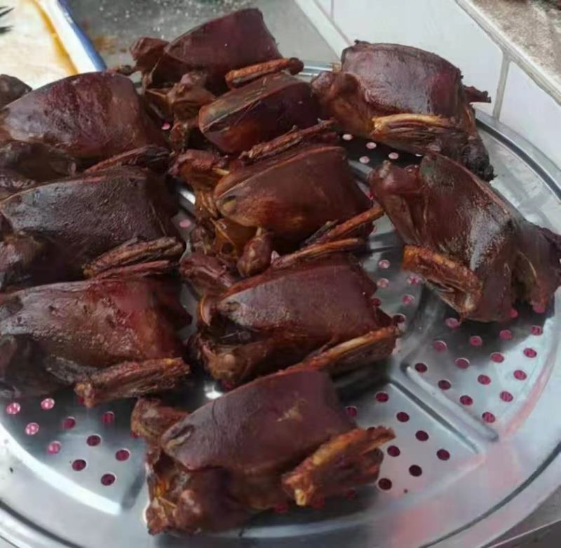 批发原粮喂养乳鸽+老鸽子+白条鸽+包皮鸽子+半成品烤鸽