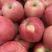 河北石家庄红星红苹果苹果大量上市产地直销全国发货