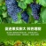 三晶磷酸二氢钾钾肥磷肥叶面肥花肥绿植花卉果树蔬菜通用肥