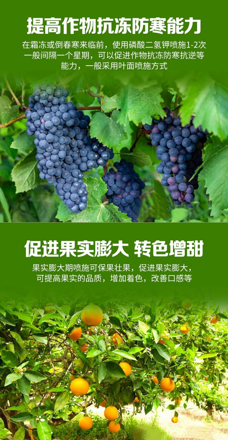 三晶磷酸二氢钾钾肥磷肥叶面肥花肥绿植花卉果树蔬菜通用肥