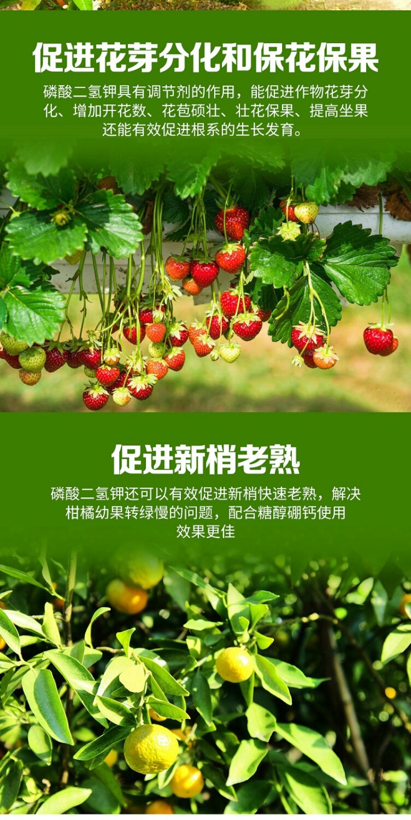 三晶磷酸二氢钾钾肥磷肥叶面肥花肥绿植花卉果树蔬菜通用肥
