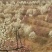 白玉兰，红玉兰，紫玉兰，黄玉兰，二乔玉兰，广玉兰，