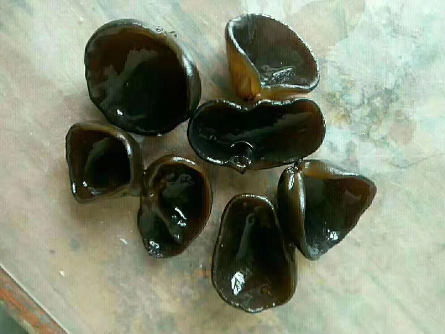 黑木耳泡发前后对比图