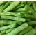 茂华小金豆四季芸豆角种子，丰产抗病，搭架豆角，无筋好吃