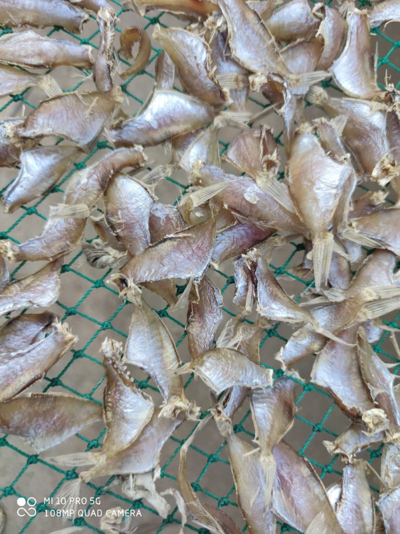 北部湾剥皮鱼马面鱼猛牛鱼迪仔鱼洋仔小鱼干地摊走量产品