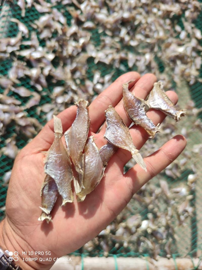 北部湾剥皮鱼马面鱼猛牛鱼迪仔鱼洋仔小鱼干地摊走量产品