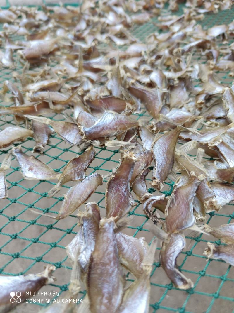 北部湾剥皮鱼马面鱼猛牛鱼迪仔鱼洋仔小鱼干地摊走量产品