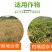 先正达克立妥21%精草铵膦铵盐杂草烂根除草剂